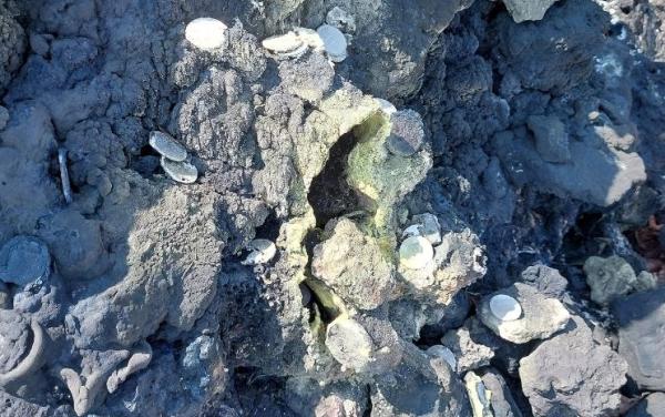 Lava Schwefel, picture © acb 2026